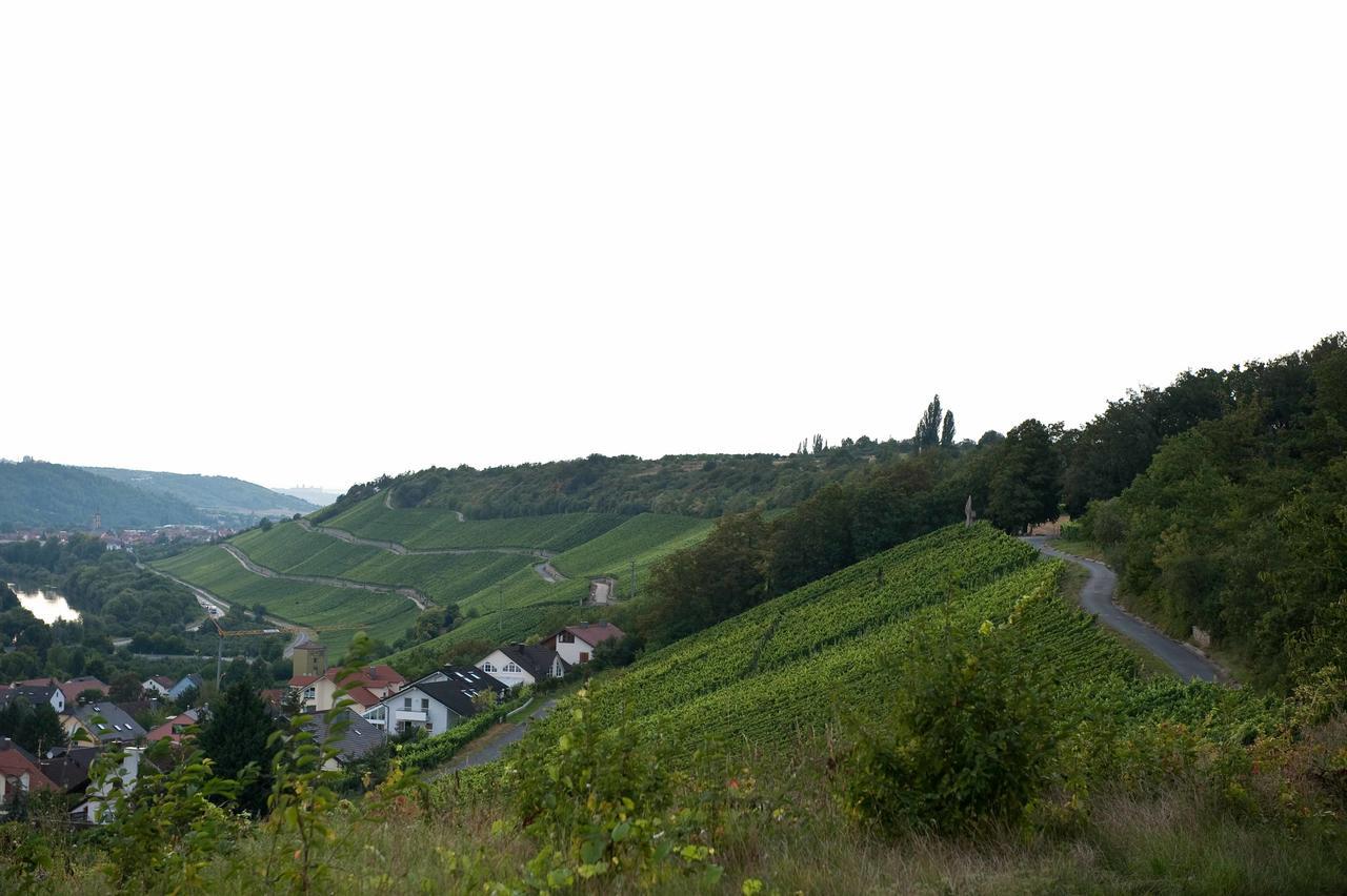 Felshof - Weingut & Gaestehaus Hotel Sommerhausen Exterior photo