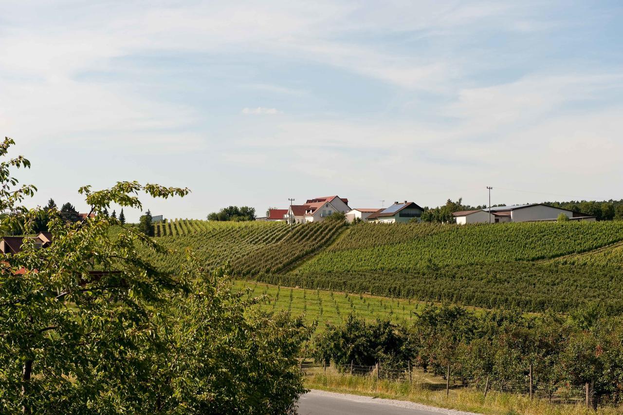 Felshof - Weingut & Gaestehaus Hotel Sommerhausen Exterior photo