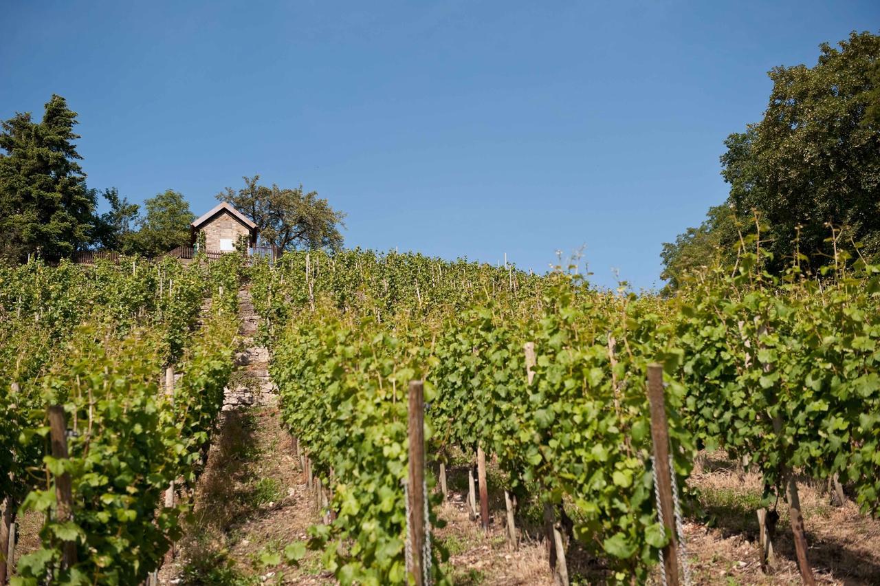 Felshof - Weingut & Gaestehaus Hotel Sommerhausen Exterior photo